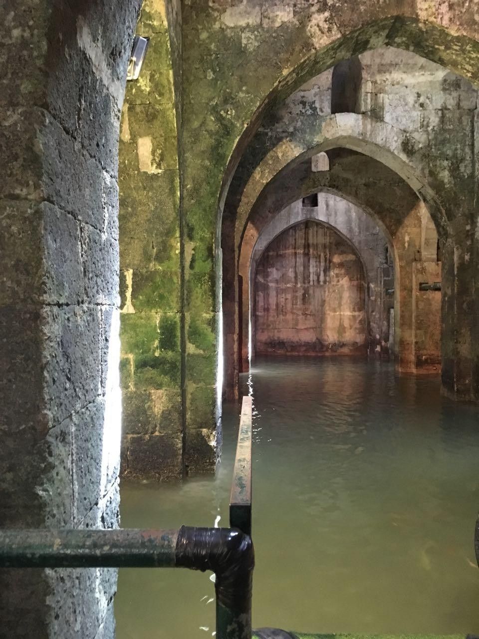 79a7fabf-0e98-4b8a-bee8-4f1e29d70fbb-image.jpeg